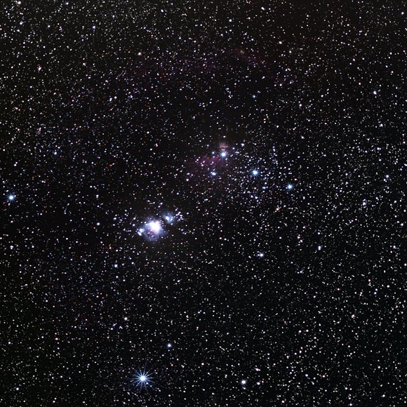 Meet your Posher, Orion - Picture 1 of 1